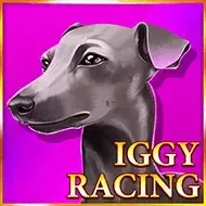 Iggy Racing icon